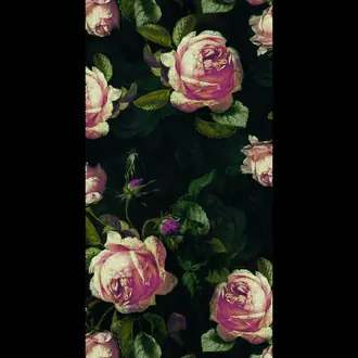 English Roses BFIM 8492 94 13