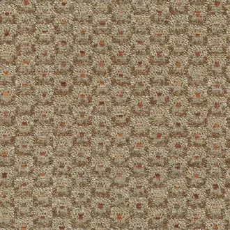 Amoroso F8062-01