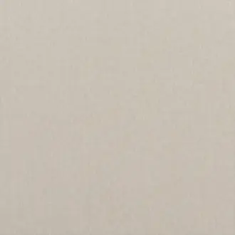 Carnival Plain PF50420-148