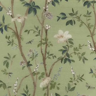 Jasmine 35406