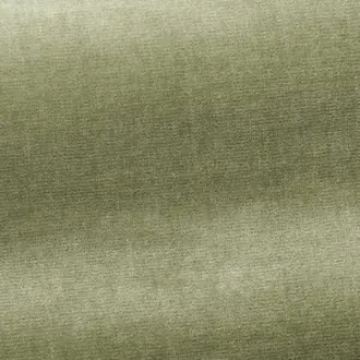 Organzino I6604004