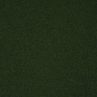 Lux Boucle FR Forest