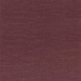 Shinok 73810100