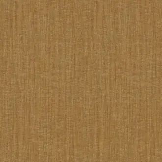 Shades Of Colour BA26002