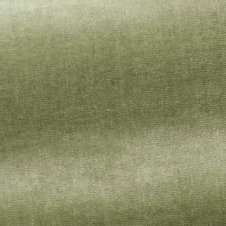 Organzino I6604004