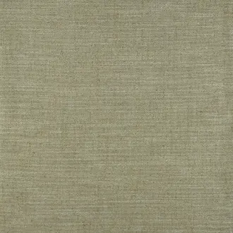 Husk Kiwi