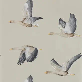 Elysian Geese 216611