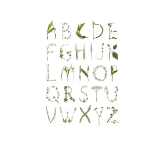 Abc For The Spelling Bee R13191