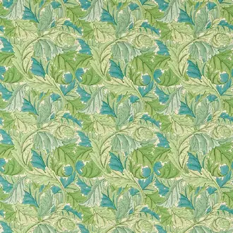 Acanthus 227114