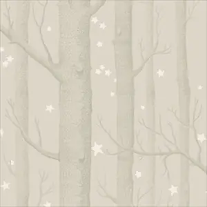 Woods and Stars 103-11048