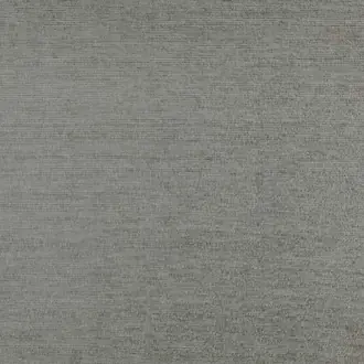 Augusta Grey