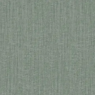 Shades Of Colour BA26003