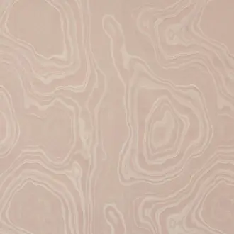 Eco I6596004