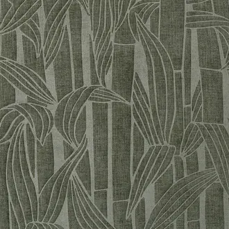 Bambusa 43010