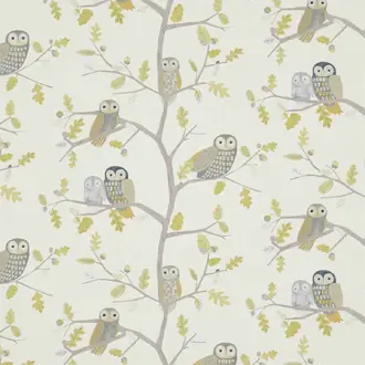 Little Owls 120935