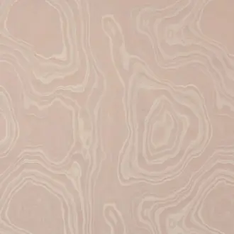 Eco I6596004