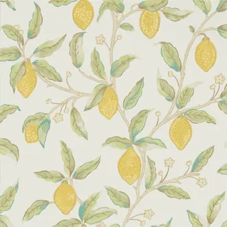 Lemon Tree 216672