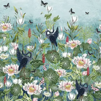 Waterlily W0138-01