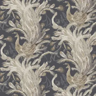 Medici PA01615