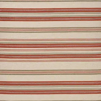 Farnaz Stripe NCF4564-01