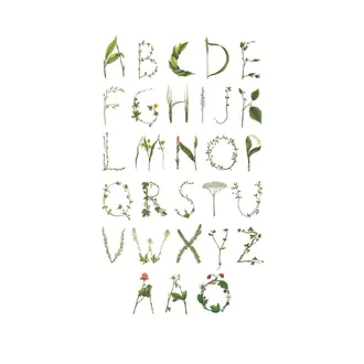 Abc For The Spelling Bee In Swedish R13193