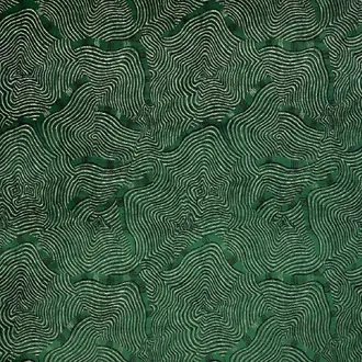 Shabeel F3855002