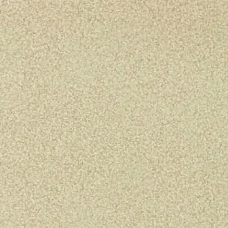 Mosaic 312920