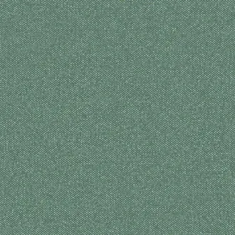 Boucle HPE202