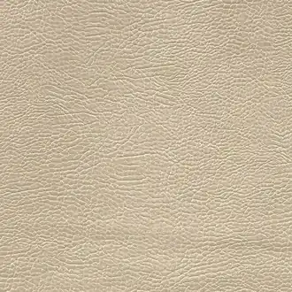 Mojave FDG2167-38