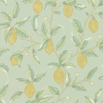 Lemon Tree 216673