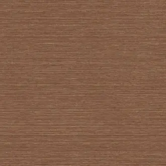 Aquila 45107
