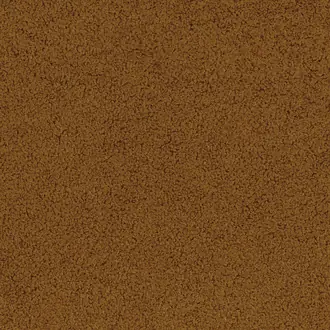 Nepal 89991941