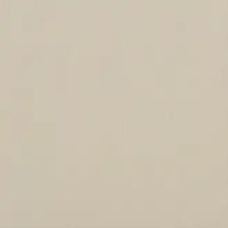 Carnival Plain PF50420-230