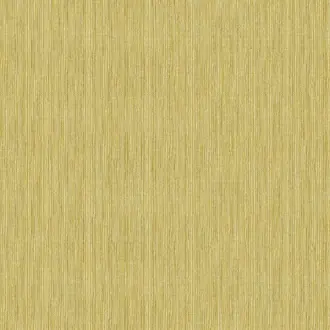 Shades Of Colour BA26011