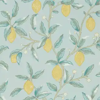 Lemon Tree 216674