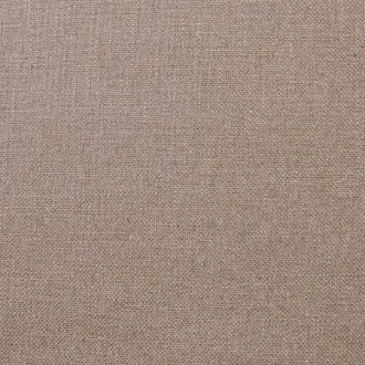 Olenka Plaster