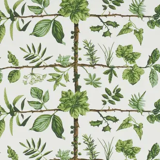 Espalier FP169001