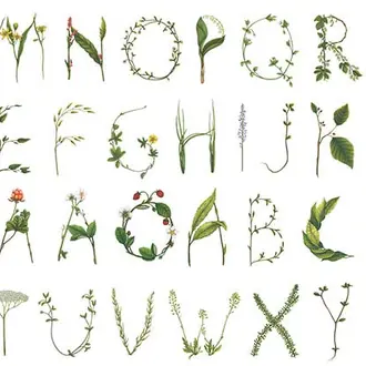 Floral Alphabet R13195