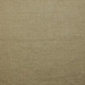 Canvas 07