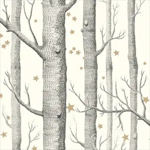 Woods and Stars 103-11050
