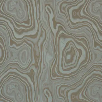 Eco I6596005