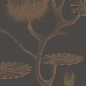 Lily 95-4021