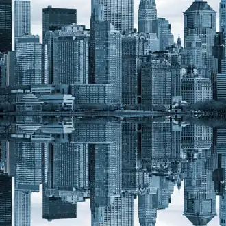 Reflections R12171