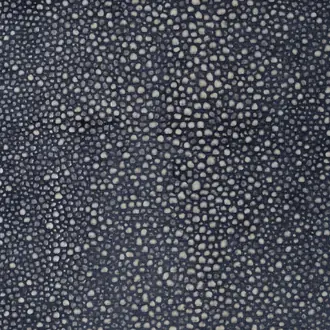 Abysses 71241-001