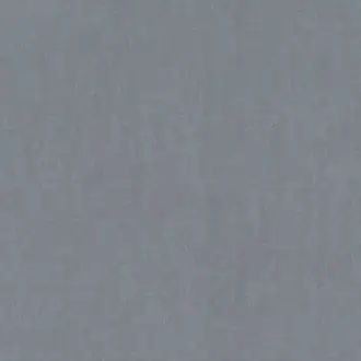 Plains 301570