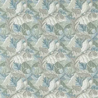 Acanthus 227116