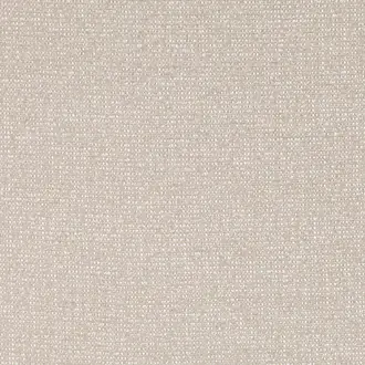 Curtis Spacedust Z592-01