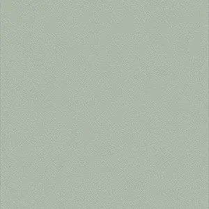 Coral 106-5066