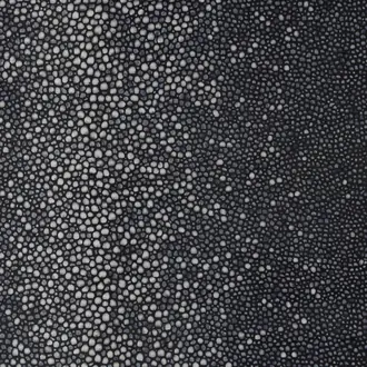 Abysses 71241-002