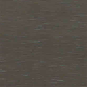 Hibiki 132371